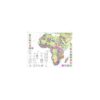 International metallogenic map of Africa