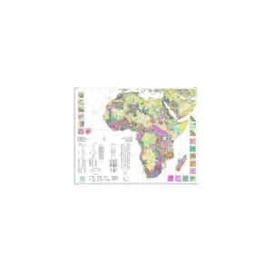 Carte métallogénique internationale de l'Afrique