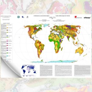 Mapa litológico del mundo