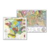 Geological maps pack World + France