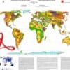 Mapa litológico del mundo