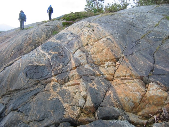 Gneiss lité de couleur variée comportant plusieurs lentilles de roches basiques de taille et de forme variées.