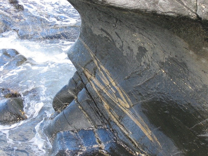 Gneiss folded into isoclines.