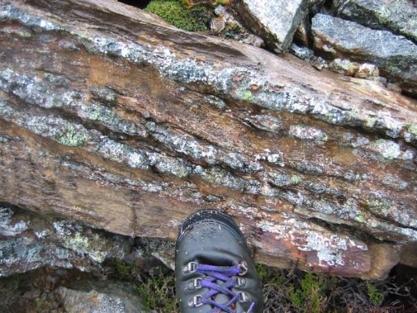 Bedded garnet peridotite. Hessdalen, Vartdal, Norway.